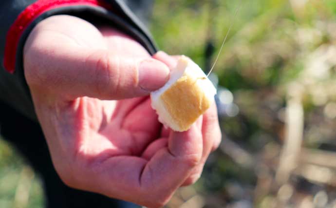 プランター下のミミズ採集からルアー釣りへ　田舎の川で育んだ釣りの知識と工夫とは？