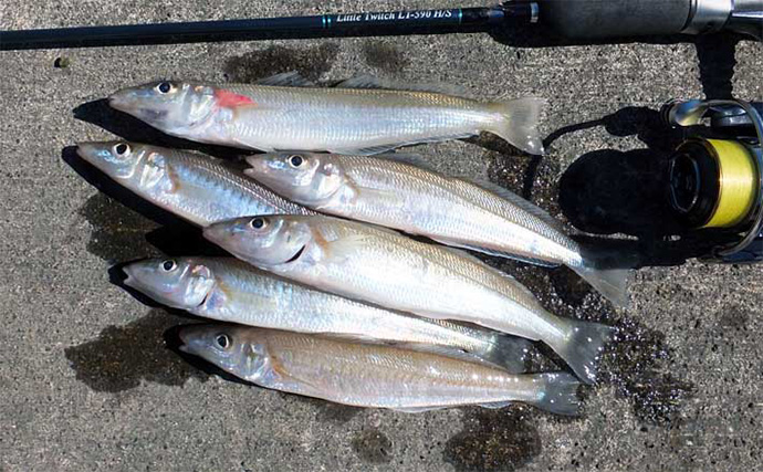 「お盆休み後半は駿河湾で釣りをしよう！」釣りに使える東名高速＆中央自動車道渋滞予測