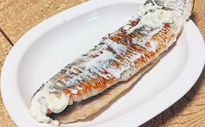 釣った魚で作る「カルシウム満点」レシピ：ヒラのバター焼き　骨切りが大事