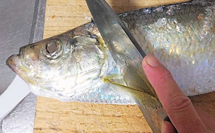 釣った魚で作る「カルシウム満点」レシピ：ヒラのバター焼き　骨切りが大事