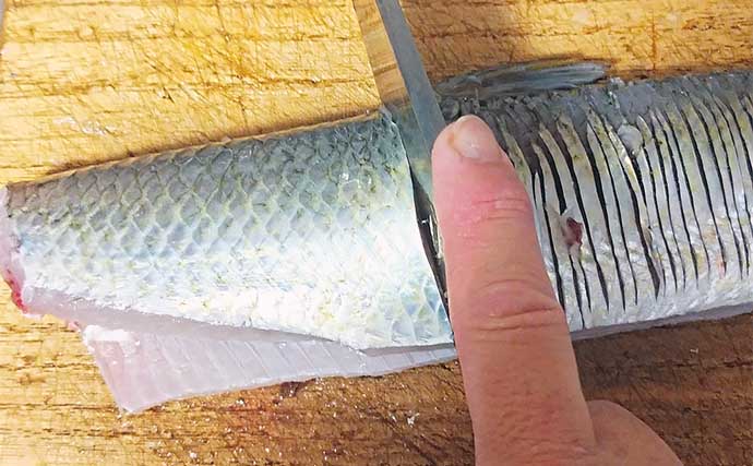 釣った魚で作る「カルシウム満点」レシピ：ヒラのバター焼き　骨切りが大事