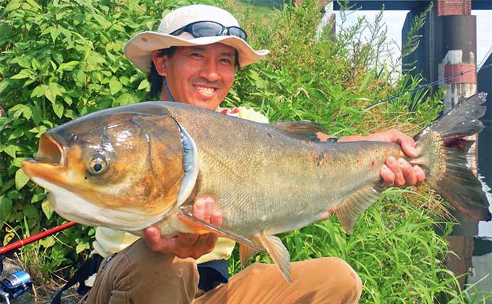 真夏のハクレン釣りで2日間合計4尾をキャッチ【埼玉・荒川温排水】短時間でのヒットに満足