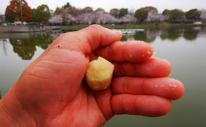 「釣りの楽しみ方は自由でOK！」普通の釣りに飽きたら実験やジオラマ作りはいかが？