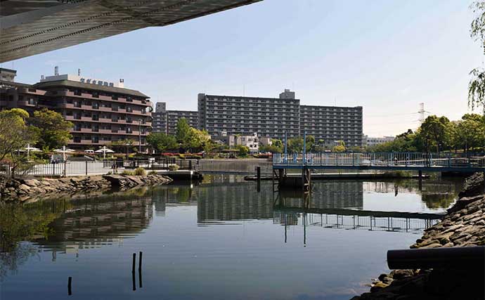 新左近川親水公園でのハゼ釣りでマハゼ90尾と快釣【東京】唐揚げとビールに舌鼓