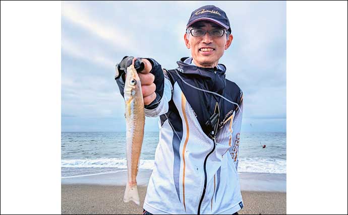 堀切海岸での投げ釣りで20cm頭にシロギス好捕【愛知】数は今後の本格期に期待