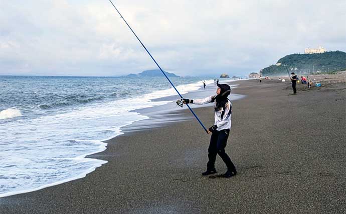 堀切海岸での投げ釣りで20cm頭にシロギス好捕【愛知】数は今後の本格期に期待