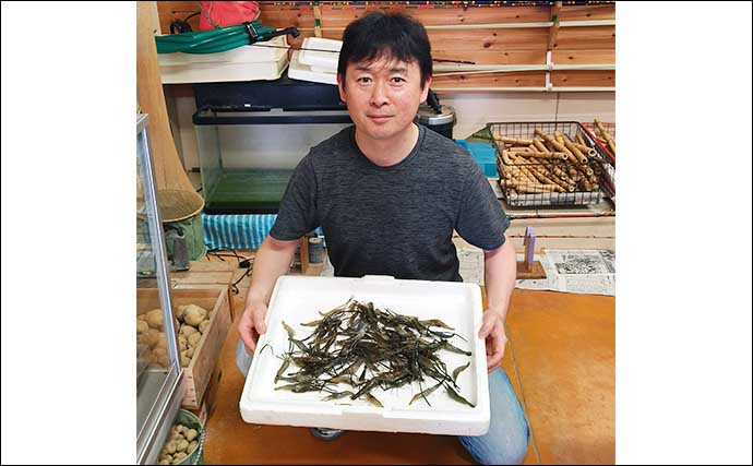 木曽川でのテナガエビ釣りで100匹オーバー【愛知】雨天狙い撃ちが的中か