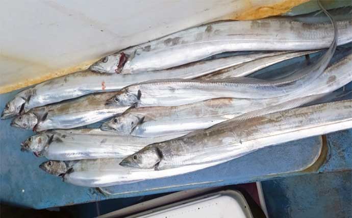 【船釣り最新釣果】タテ釣り（落とし込み）でマダイやニベが顔出し（三重）