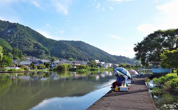 今週のヘラブナ推薦釣り場2024【静岡県・野守の池】