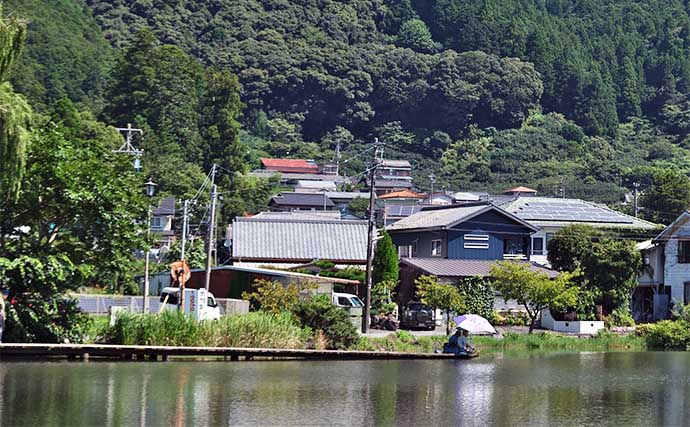 今週のヘラブナ推薦釣り場2024【静岡県・野守の池】