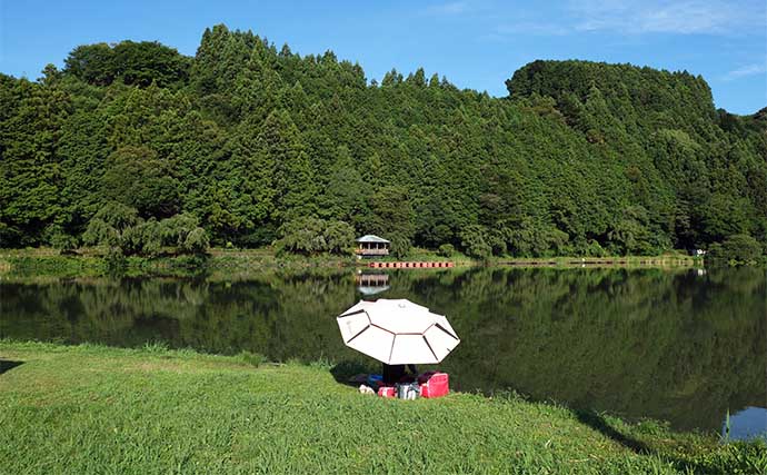 今週のヘラブナ推薦釣り場2024【静岡県・野守の池】