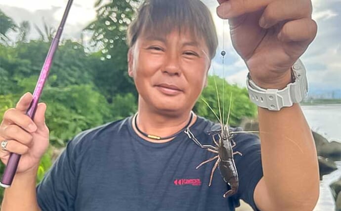 酒匂川でのテナガエビ釣りで本命連発【神奈川】抱卵したメスが中心でリリース