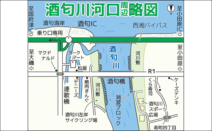 酒匂川でのテナガエビ釣りで本命連発【神奈川】抱卵したメスが中心でリリース