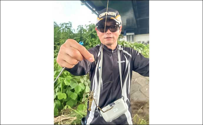 酒匂川でのテナガエビ釣りで本命連発【神奈川】抱卵したメスが中心でリリース