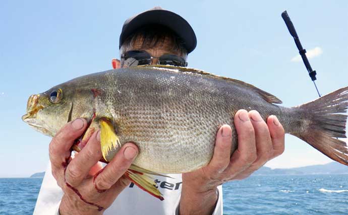 【釣果速報】五目釣りにて腹ボテのジャンボイサキでクーラー満タン（大分・熊本）