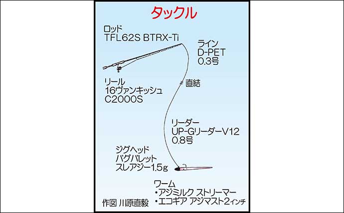 周防大島でのアジング釣行でアジ40尾【山口】レンジをシビアに攻めて連発