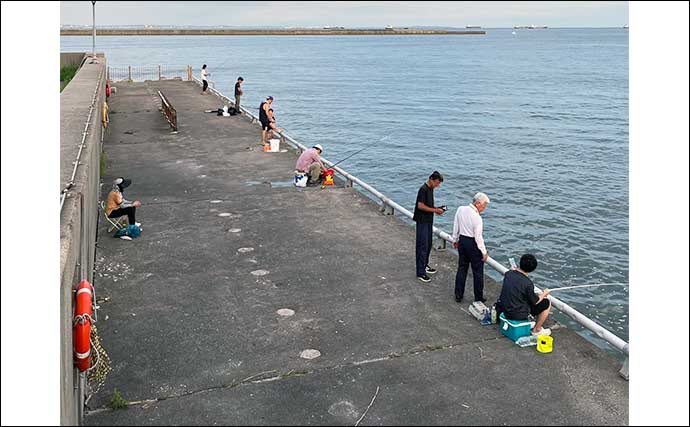 「奥が深い！」初体験の紀州釣り（ウキダンゴ）で42cmクロダイ手中【三重】