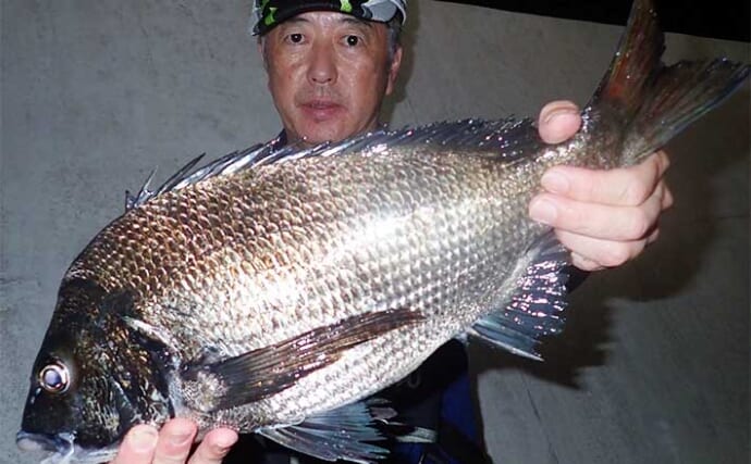 夜のウキ釣りで52cm大型チヌをキャッチ【熊本・上天草】下げ潮狙いが的中