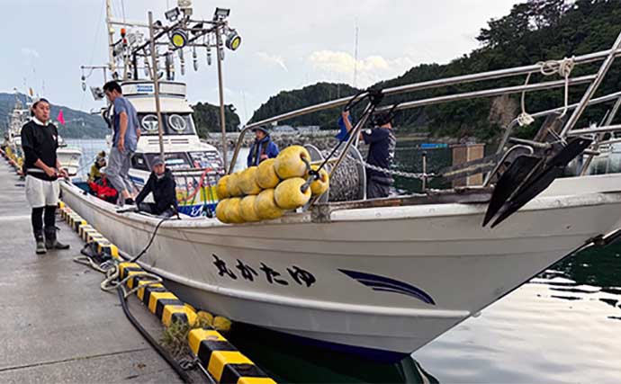 初夏から始まる三陸沿岸ムギイカ釣りを堪能【岩手】ケンサキイカ混じりで連発