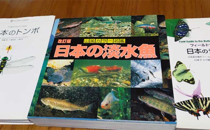 釣りをしながら夏休み自由研究のススメ：近所の川を徹底調査したら市から特別表彰された