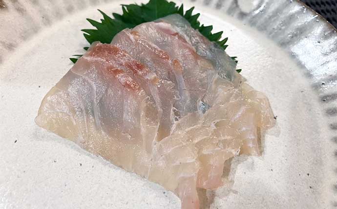 釣り好きパパにオススメ！子供と一緒に楽しむ夏休み自由研究【釣った魚の食べ比べ】