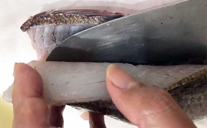 釣り好きパパにオススメ！子供と一緒に楽しむ夏休み自由研究【釣った魚の食べ比べ】