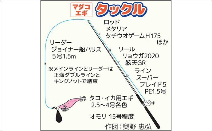 東京湾エギタコ釣りでマダコ3尾キャッチ【千葉・林遊船】シンプルな仕掛けに軍配