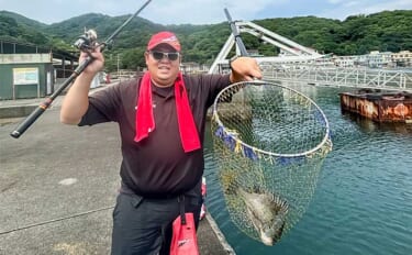 堤防でのウキダンゴ釣りで40cm級頭にクロダイ3尾【静岡・大瀬崎】潮が止まると連発