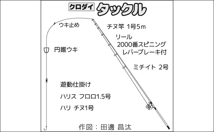 堤防でのウキダンゴ釣りで40cm級頭にクロダイ3尾【静岡・大瀬崎】潮が止まると連発