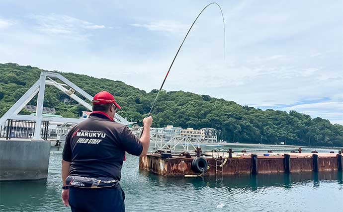 堤防でのウキダンゴ釣りで40cm級頭にクロダイ3尾【静岡・大瀬崎】潮が止まると連発