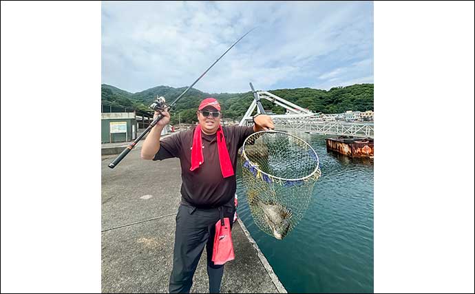 堤防でのウキダンゴ釣りで40cm級頭にクロダイ3尾【静岡・大瀬崎】潮が止まると連発