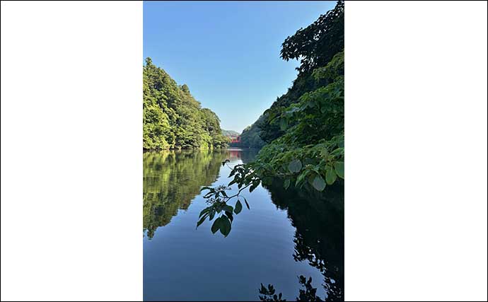 吉田康雄のザ・チャレンジへらぶな【ノルマは50cm超 in 亀山湖 #2】