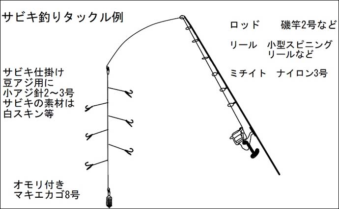 【直江津港第三東防波堤】8月の初心者向け釣り物3選　それぞれの釣り方も徹底解説