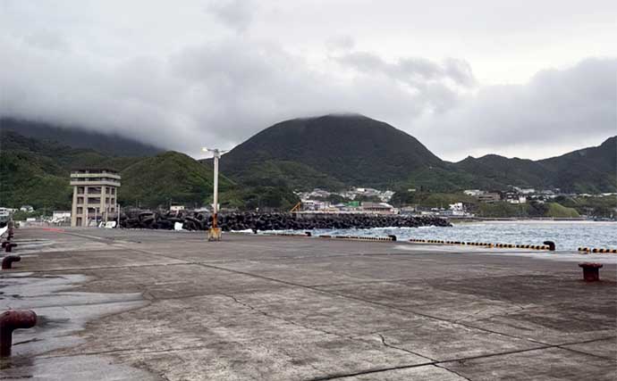 離島のショアジギングで良型カンパチヒット【東京・神津島】家族旅行の隙間時間に竿出し