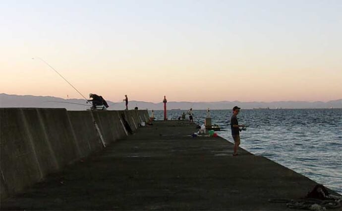 堤防釣りで自由研究のススメ：夏の海釣りは【何時が一番釣れるのか】調べてみよう