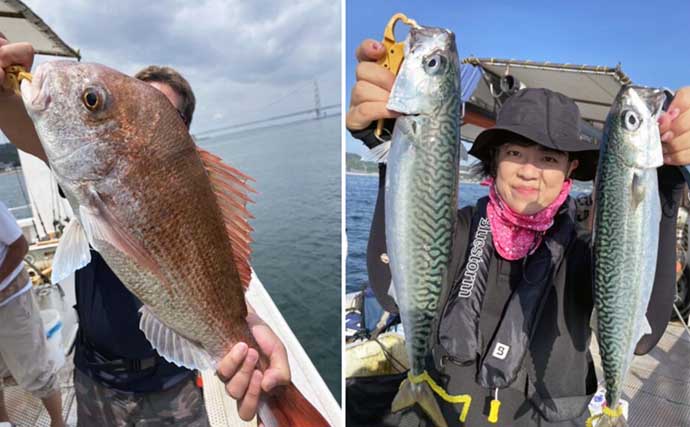 関西エリアの【船釣り特選釣果】超高級魚シロアマダイが船中50匹超えとフィーバー！