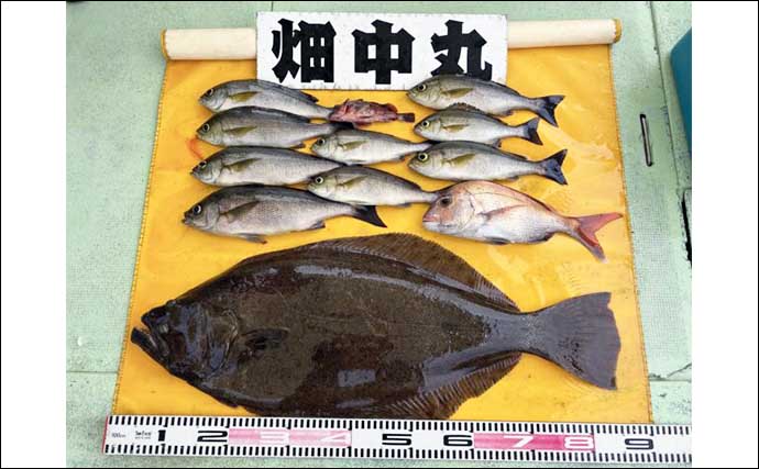 関西エリアの【船釣り特選釣果】超高級魚シロアマダイが船中50匹超えとフィーバー！