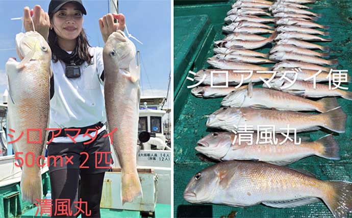 関西エリアの【船釣り特選釣果】超高級魚シロアマダイが船中50匹超えとフィーバー！