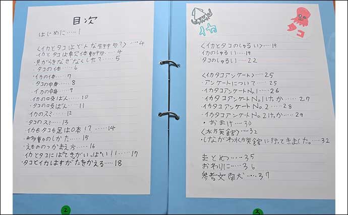 海洋生物好きの夏休み自由研究テーマ紹介：イカとタコを調査比較「似てそうで意外と違う？」