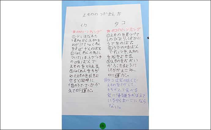 海洋生物好きの夏休み自由研究テーマ紹介：イカとタコを調査比較「似てそうで意外と違う？」