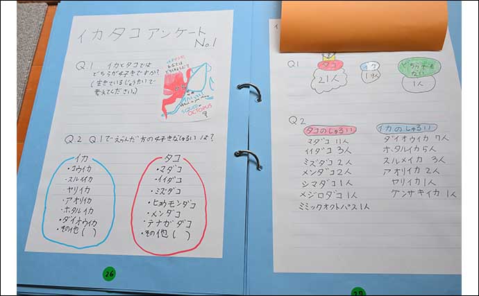 海洋生物好きの夏休み自由研究テーマ紹介：イカとタコを調査比較「似てそうで意外と違う？」