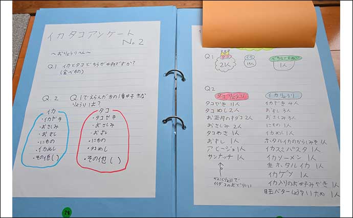 海洋生物好きの夏休み自由研究テーマ紹介：イカとタコを調査比較「似てそうで意外と違う？」