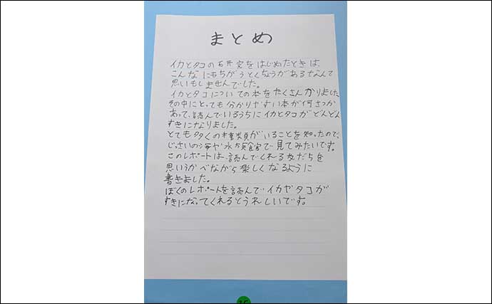 海洋生物好きの夏休み自由研究テーマ紹介：イカとタコを調査比較「似てそうで意外と違う？」