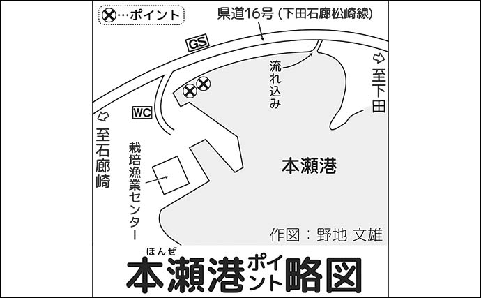 陸っぱりライトルアー釣りで20cm級ショゴ（カンパチ）の入れ食いを堪能【静岡・南伊豆】