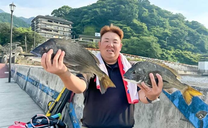 堤防ウキダンゴ釣りで51cm「年無し」を筆頭にクロダイ2尾をキャッチ【静岡・西伊豆】