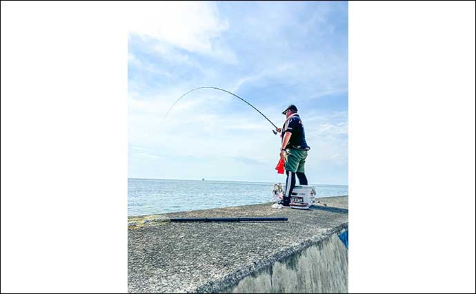 堤防ウキダンゴ釣りで51cm「年無し」を筆頭にクロダイ2尾をキャッチ【静岡・西伊豆】