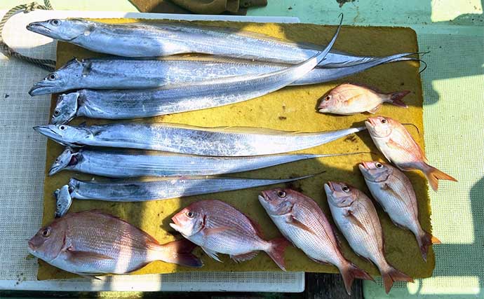 【沖釣り釣果速報】SLJ釣行でマダイにホウボウなど多彩な美味魚続々！（三重）