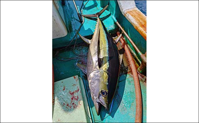 沖のジギング釣行で40kg級キハダマグロをキャッチ成功【三重・フィッシュハンター】