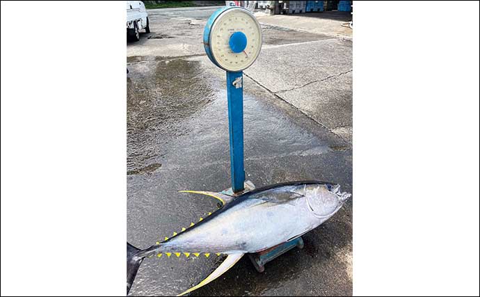 沖のジギング釣行で40kg級キハダマグロをキャッチ成功【三重・フィッシュハンター】