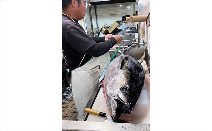 沖のジギング釣行で40kg級キハダマグロをキャッチ成功【三重・フィッシュハンター】